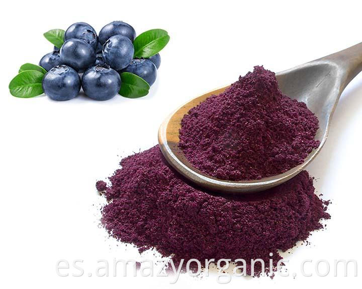 Blueberry powder